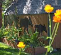 Alaskas Lake Lucille Bed & Breakfast Exterior