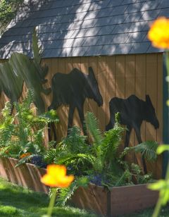 Alaskas Lake Lucille Bed & Breakfast