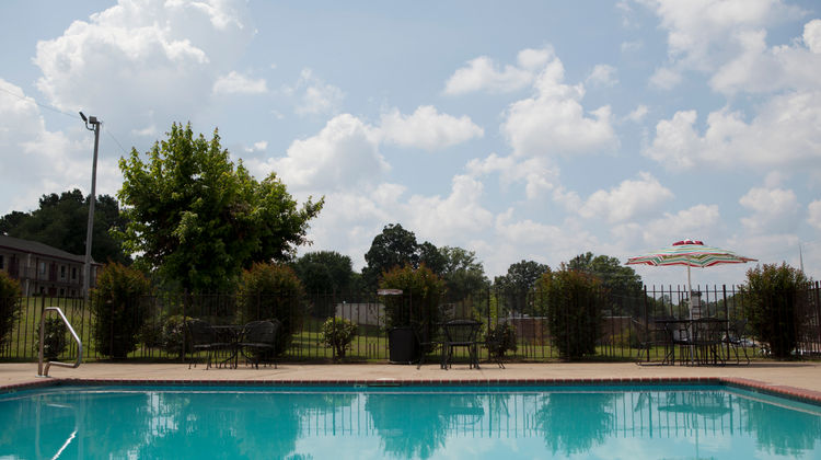Red Roof Inn & Suites Jackson, TN Pool