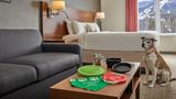 Residence Inn by Marriott Breckenridge Suite