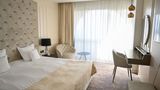 Hotel Aleksandar Room