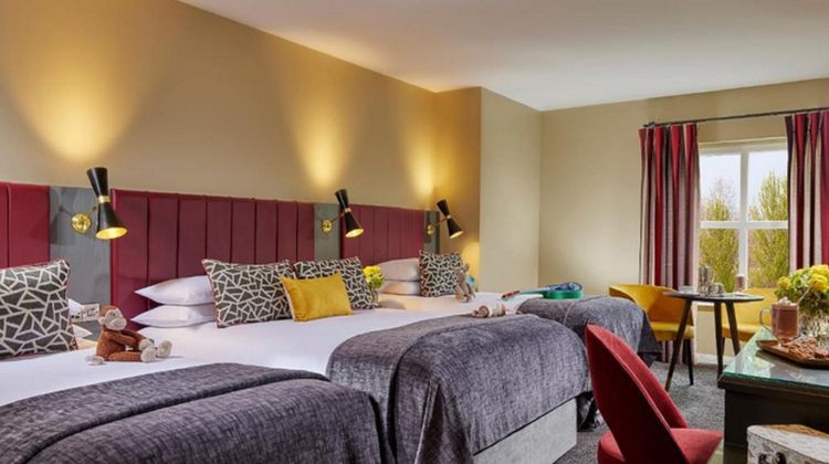 Shannon Springs Hotel Room