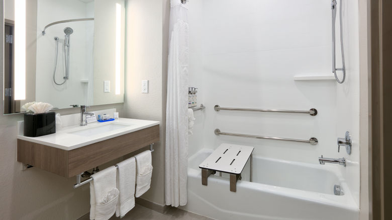 <b>Holiday Inn Express/Suites North Dallas Room</b>. Images powered by <a href="https://www.leonardoworldwide.com/" title="Leonardo Worldwide" target="_blank">Leonardo</a>.