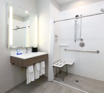 Holiday Inn Express/Suites North Dallas Room