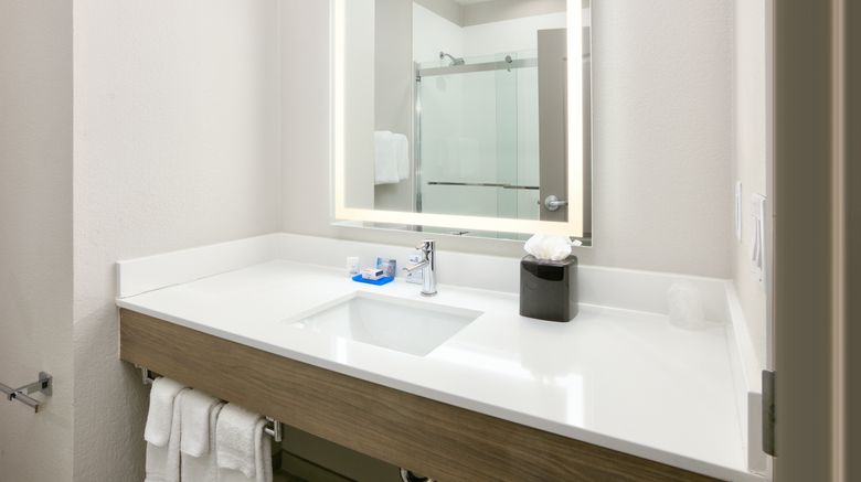<b>Holiday Inn Express/Suites North Dallas Room</b>. Images powered by <a href="https://www.leonardoworldwide.com/" title="Leonardo Worldwide" target="_blank">Leonardo</a>.