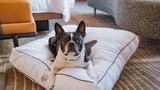 The Westin Book Cadillac Detroit Other