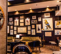 The Singular Lobby