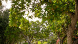 Botania Relais & Spa Other
