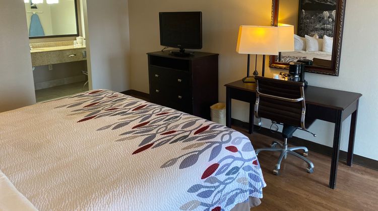 Red Roof Inn Savannah North I-95 Room