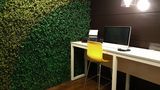 Holiday Inn Guatemala Other