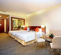Becamax Hotel - New City Room