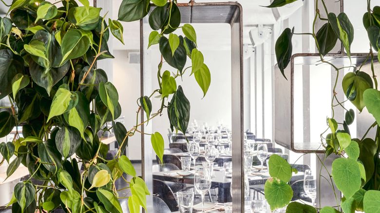 <b>Sir Albert Hotel Amsterdam Restaurant</b>. Images powered by <a href="https://www.leonardoworldwide.com/" title="Leonardo Worldwide" target="_blank">Leonardo</a>.
