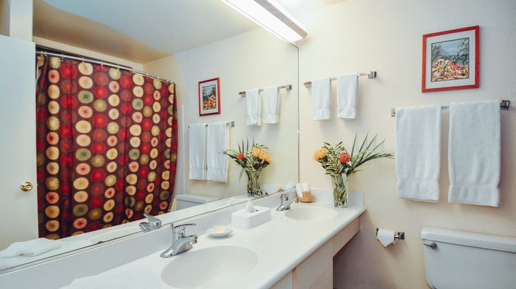 Banyan Harbor Resort Room