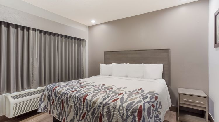 Red Roof Inn & Suites Corbin Room