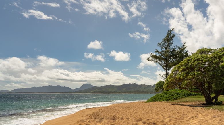 <b>Sheraton Kauai Coconut Beach Resort Beach</b>. Images powered by <a href="https://www.leonardoworldwide.com/" title="Leonardo Worldwide" target="_blank">Leonardo</a>.
