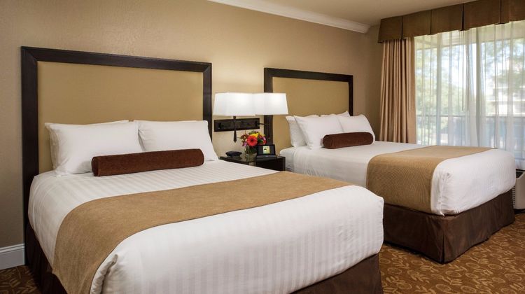 Creekside Inn Room