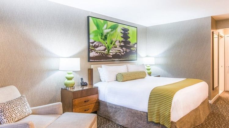 Creekside Inn Suite