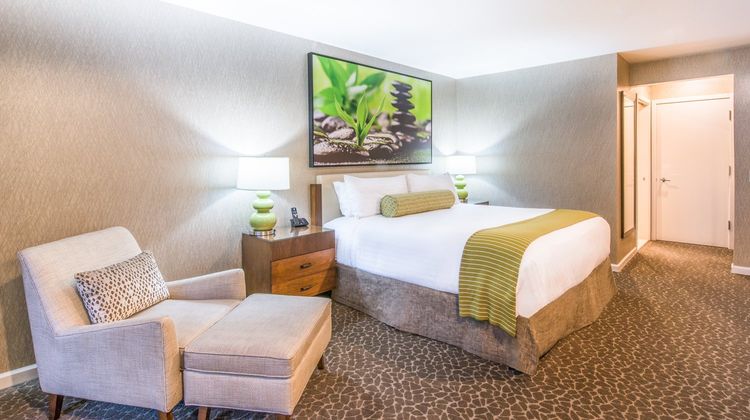 Creekside Inn Room