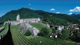 Hotel Internazionale Bellinzona Other