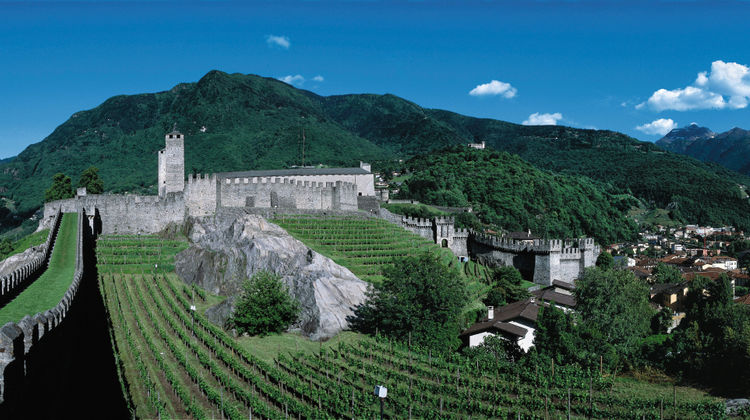 Hotel Internazionale Bellinzona Other