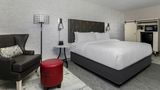Four Points by Sheraton Downtown Room