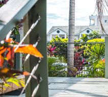 Tropical Heritage Cairns Exterior