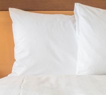 Holiday Inn Express Room
