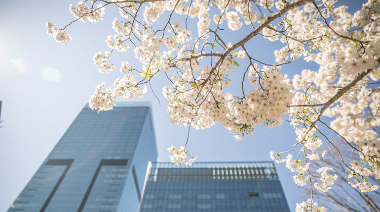 The Okura Tokyo Recreation