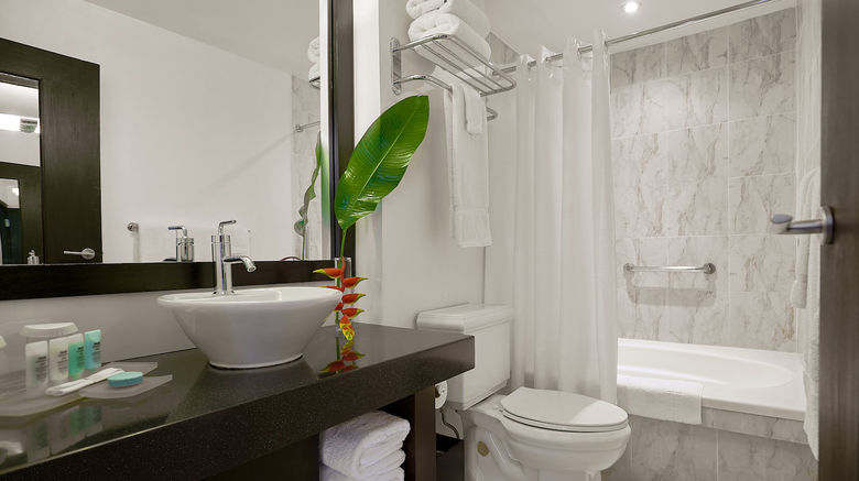 <b>S Hotel Kingston Room</b>. Images powered by <a href="https://www.leonardoworldwide.com/" title="Leonardo Worldwide" target="_blank">Leonardo</a>.