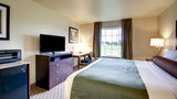Cobblestone Inn & Suites Schuyler Room