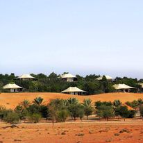 Al Maha, Luxury Collection Desert Resort