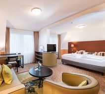 Goebel's Vital Hotel Room