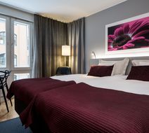 Hotel Birger Jarl Room