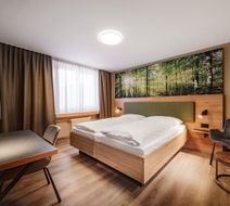 Hotel Linde Room