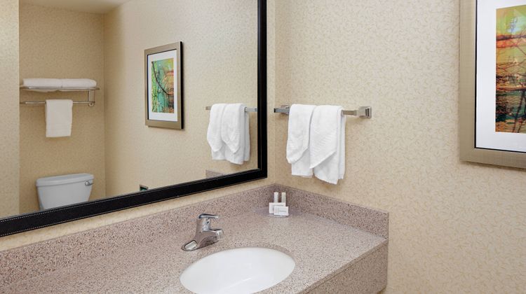 Fairfield Inn-Suites Detroit Metro Arpt Room