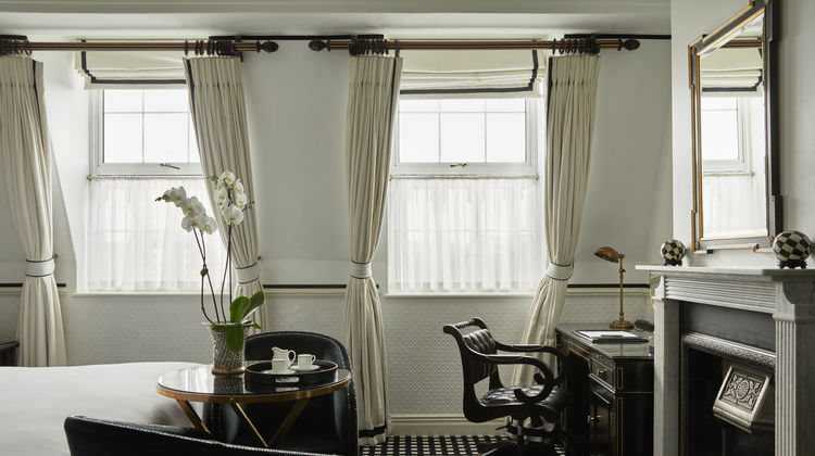Hotel 41 Room
