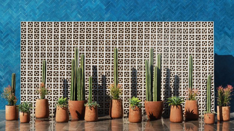 <b>voco Guadalajara Neruda Spa</b>. Images powered by <a href="https://www.leonardoworldwide.com/" title="Leonardo Worldwide" target="_blank">Leonardo</a>.