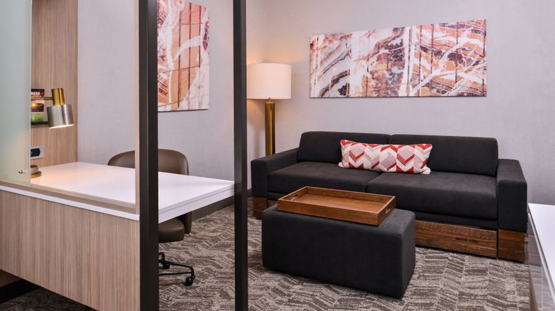 <b>SpringHill Suites Greensboro Airport Suite</b>. Images powered by <a href="https://www.leonardoworldwide.com/" title="Leonardo Worldwide" target="_blank">Leonardo</a>.