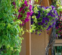 Flying Saddle Resort Exterior