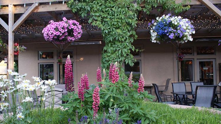 Flying Saddle Resort Exterior