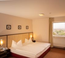 Wilder Mann Hotel Room
