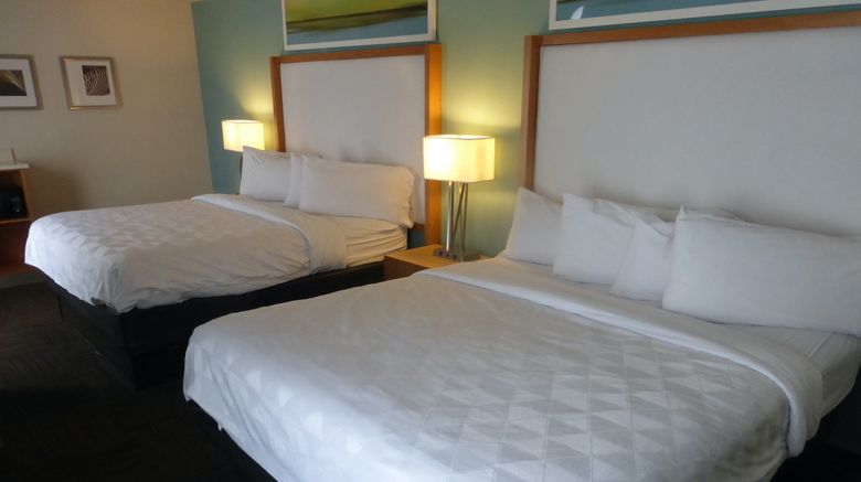 <b>Red Roof PLUS+ & Suites Tampa Room</b>. Images powered by <a href="https://www.leonardoworldwide.com/" title="Leonardo Worldwide" target="_blank">Leonardo</a>.