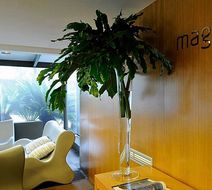 Magnolia Hotel Lobby