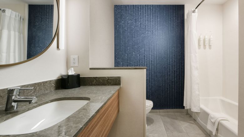 <b>Fairfield Inn & Suites Dallas East Room</b>. Images powered by <a href="https://www.leonardoworldwide.com/" title="Leonardo Worldwide" target="_blank">Leonardo</a>.
