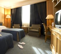 Grand Hotel Barone di Sassj Room