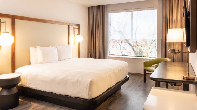Fairfield Inn & Suites Cancun Downtown Room