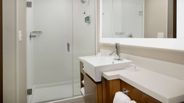 <b>SpringHill Suites Jackson Ridgeland Room</b>. Images powered by <a href="https://www.leonardoworldwide.com/" title="Leonardo Worldwide" target="_blank">Leonardo</a>.