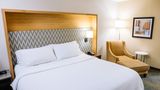 <b>Holiday Inn Room</b>. Images powered by <a href="https://www.leonardoworldwide.com/" title="Leonardo Worldwide" target="_blank">Leonardo</a>.