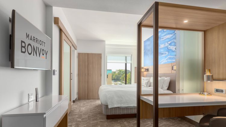 SpringHill Suites By Marriott Downtown Suite