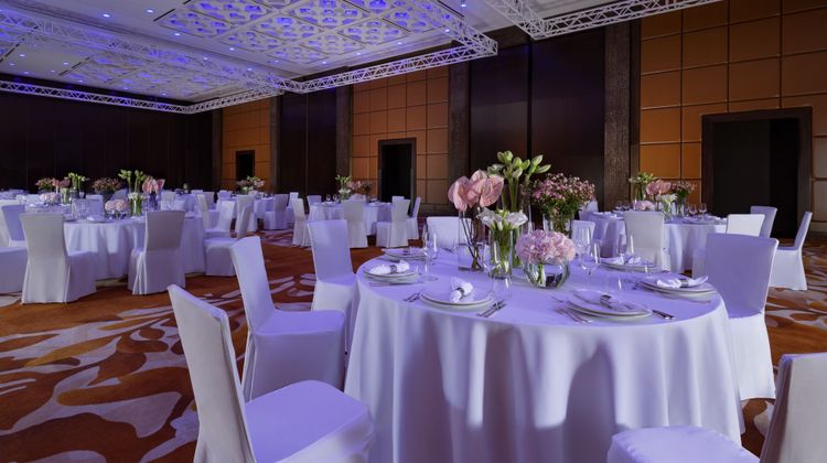 The Ritz-Carlton, Almaty Ballroom